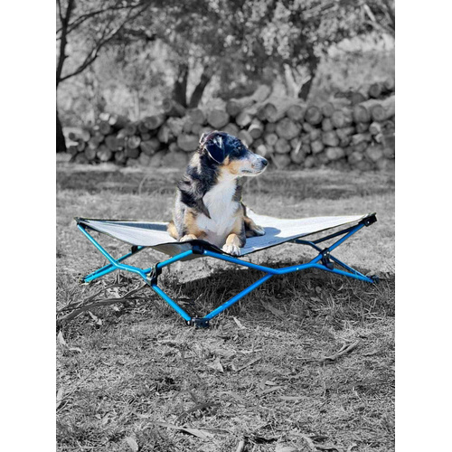 Navigator Navi Dog Bed